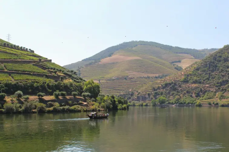 Imagem do Rio Douro e encostas
